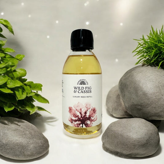 Wild Fig and Cassis - Diffuser Refill