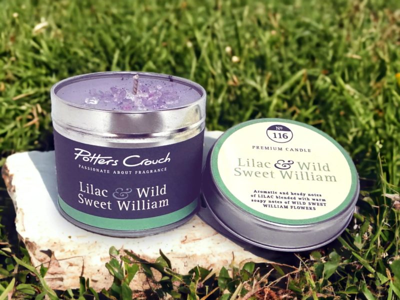 Lilac Wild Sweet William Candle