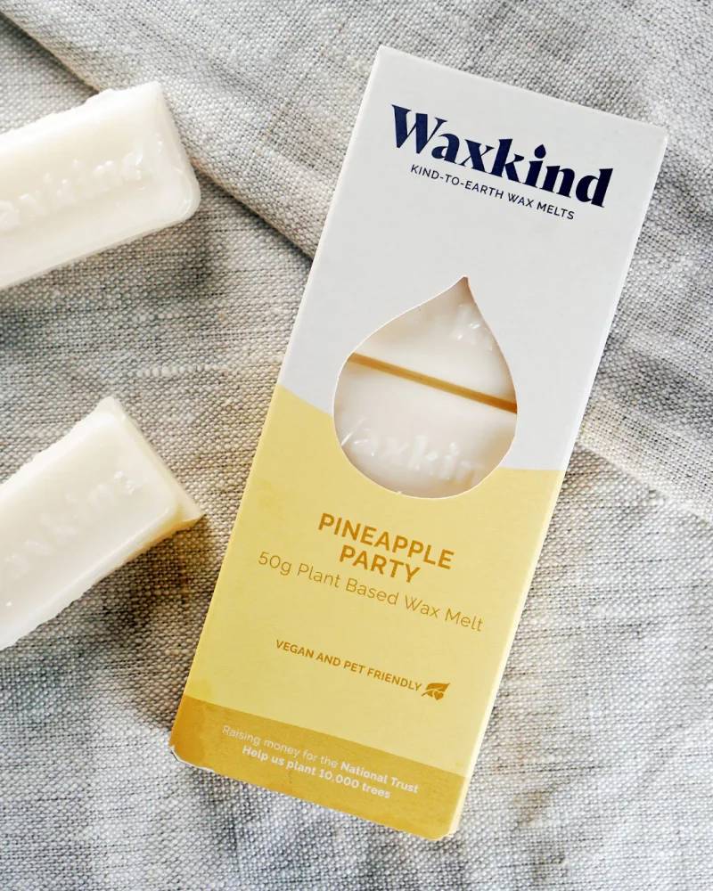 Pineapple Party - Wax Melts