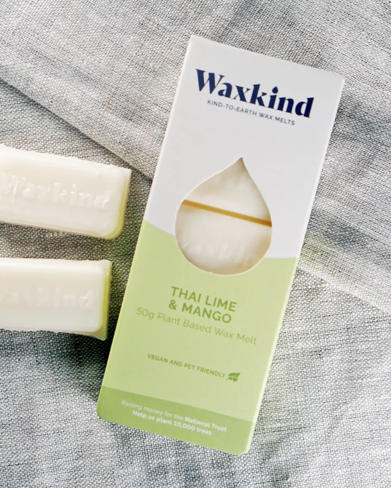 Thai Lime & Mango - Wax Melts